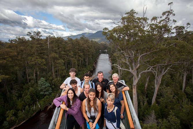 Hobart: Tahune Airwalk, Hastings Caves & Thermal Springs Pool - Key highlights worth planning for