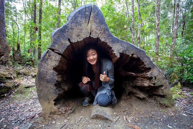 Hobart: Tahune Airwalk, Hastings Caves & Thermal Springs Pool - A full-day adventure from Hobart’s doorstep