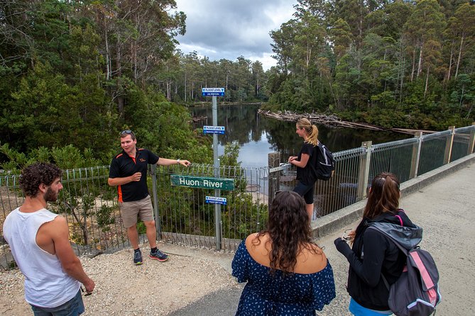 Hobart: Tahune Airwalk, Hastings Caves & Thermal Springs Pool - Huon Valley drives and seasonal roadside stops (the fun “in-between”)
