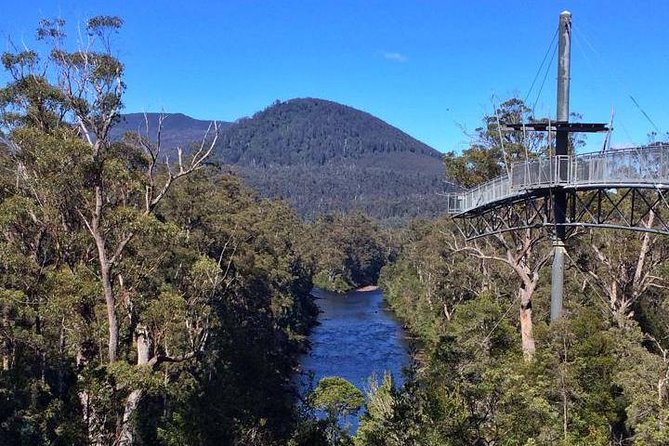 Hobart: Tahune Airwalk, Hastings Caves & Thermal Springs Pool - Getting there, moving around, and keeping your day comfortable