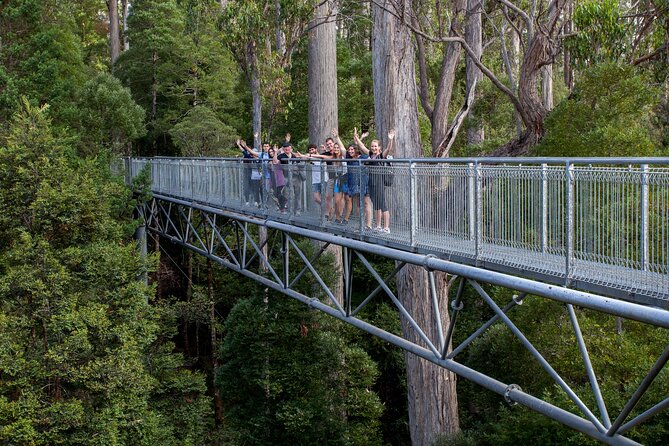 Hobart: Tahune Airwalk, Hastings Caves & Thermal Springs Pool - Wildlife and respectful viewing: a small detail that matters