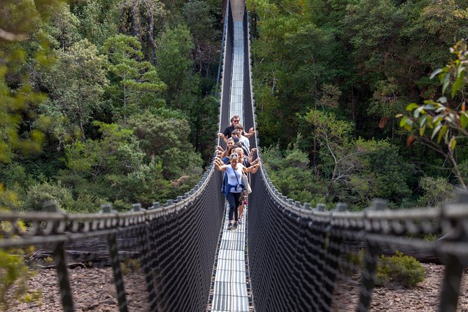 Hobart: Tahune Airwalk, Hastings Caves & Thermal Springs Pool - Tahune Airwalk: treetops, bridges, and that Cantilever 40m feeling