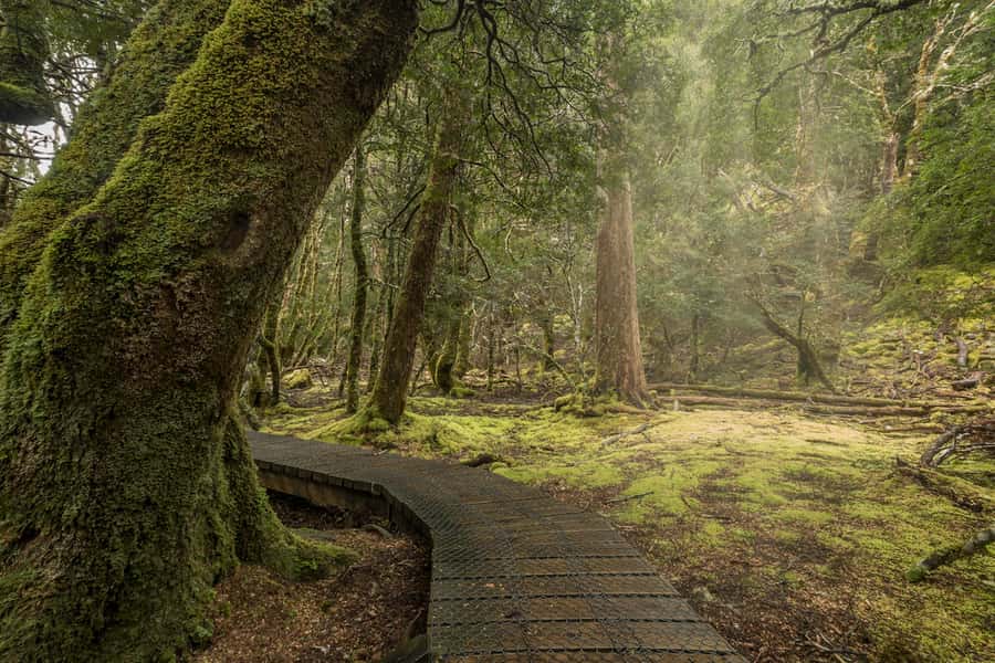 Hobart to Cradle Mountain to Launceston - Cradle Mountain in one long day: the big idea