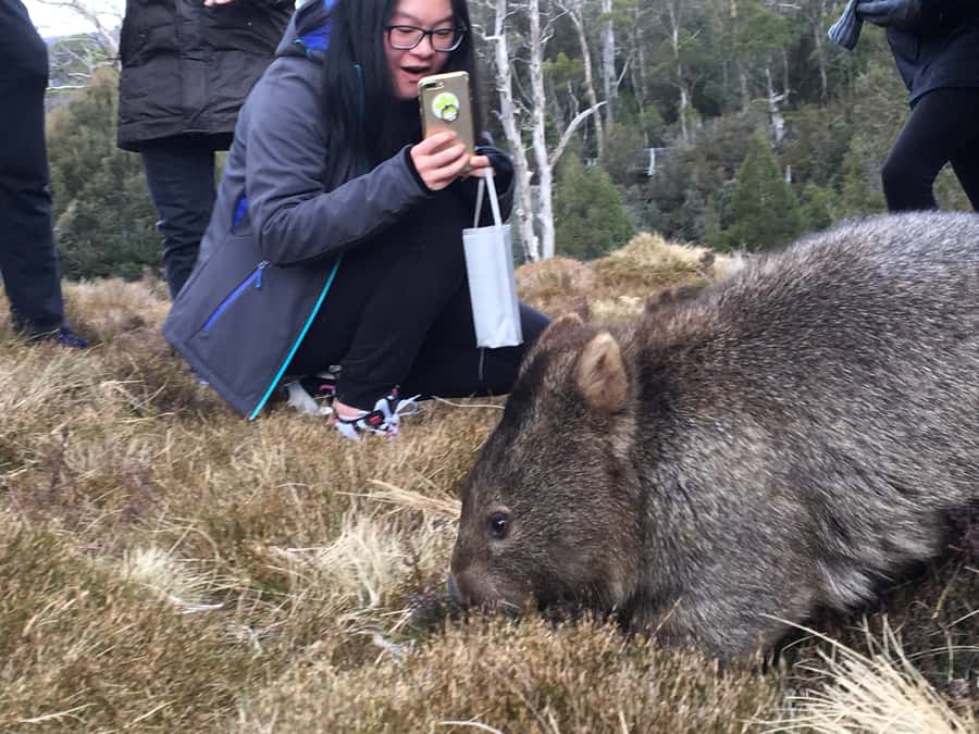 Hobart to Cradle Mountain to Launceston - The 7:00 AM start and why timing really matters