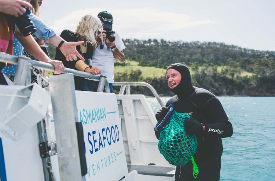 Hobart: Ultimate Seafood Cruise on a Spacious Catamaran - A 4.5-Hour Hobart Seafood Feast on the Cuttlefish Catamaran