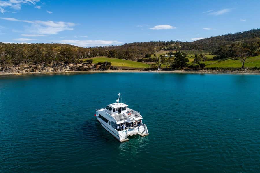 Hobart: Ultimate Seafood Cruise on a Spacious Catamaran - The Degustation Style: 18+ Dishes Without the Portion Panic
