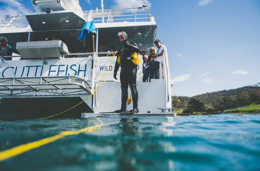 Hobart: Ultimate Seafood Cruise on a Spacious Catamaran - Seven Tasmanian Species, Plus the Live Wild-Harvest Watching Moment