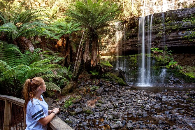 Hobart: Waterfalls, Wilderness & Wildlife - Active Day Tour - Mt Wellington (Kunanyi): The Summit Finish You’ll Feel