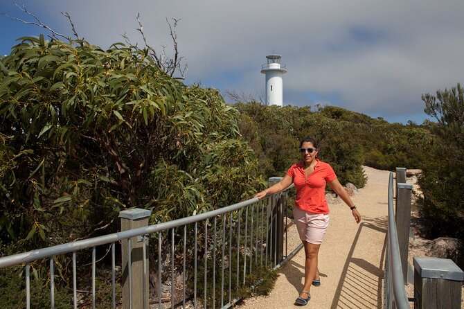 Hobart: Wineglass Bay & Freycinet National Park - Active Day Tour - Why Wineglass Bay earns the hype from Hobart