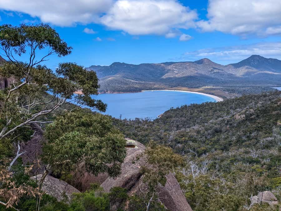 Hobart: Wineglass Bay & Freycinet National Park Active Tour - Sleepy Bay: A Quick Stop That Depends on Time