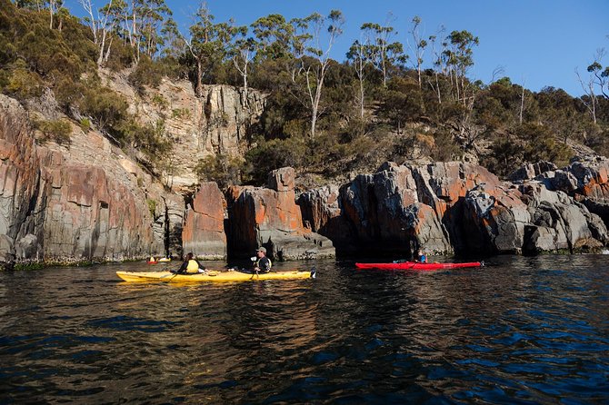 Hobart's Cliffs, Caves and Beaches Kayak Tour - Tinderbox to Taroona: How the One-Way Route Affects Your Day