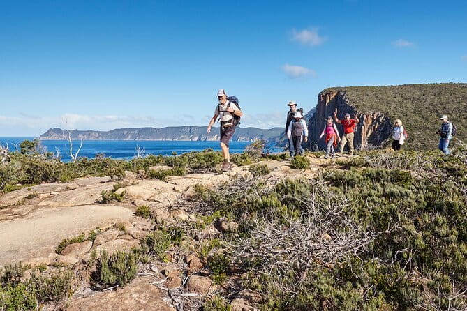 Hobart's Cliffs, Caves and Beaches Kayak Tour - Wildlife Chances: What You Can Watch For Without Stressing