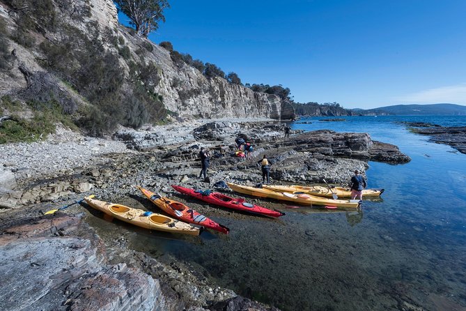 Hobart's Cliffs, Caves and Beaches Kayak Tour - Gear and Comfort: Double Kayaks, Cold-Water Kit, and What to Bring