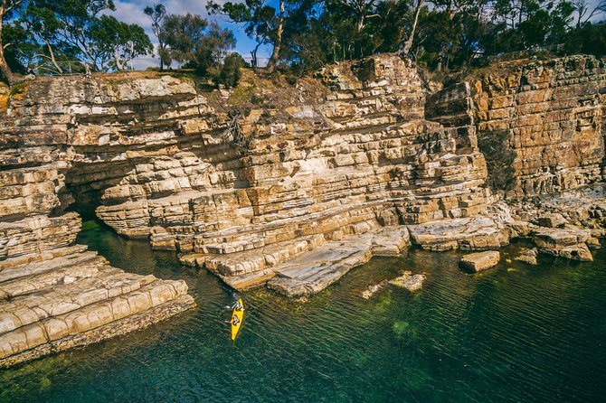 Hobart's Cliffs, Caves and Beaches Kayak Tour - Price and What You’re Really Buying for $211.59