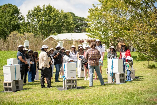 Honey Farm Tour. Morning Tea. Guided Tasting - Key highlights you’ll care about