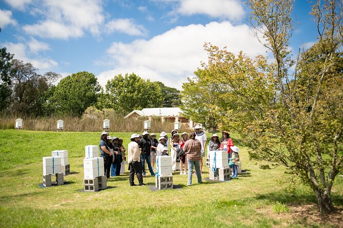 Honey Farm Tour. Morning Tea. Guided Tasting - Price and value: what $27.26 gets you in real terms