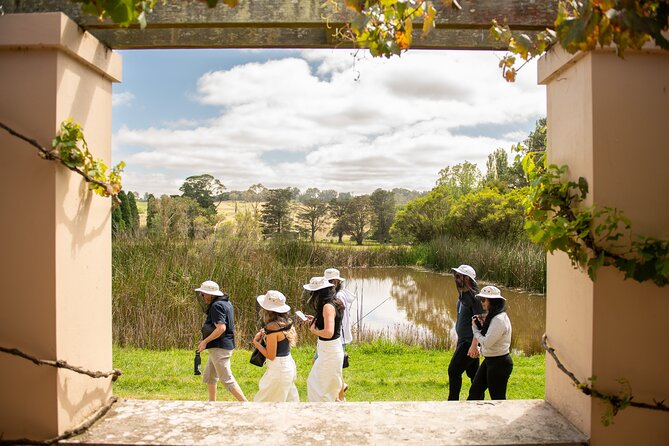Honey Farm Tour. Morning Tea. Guided Tasting - Practical timing and what to expect on arrival