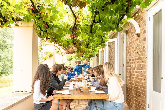 Honey Farm Tour. Morning Tea. Guided Tasting - The guided hive tour: head veil, bee lifecycle, and an empty Flow Hive demo