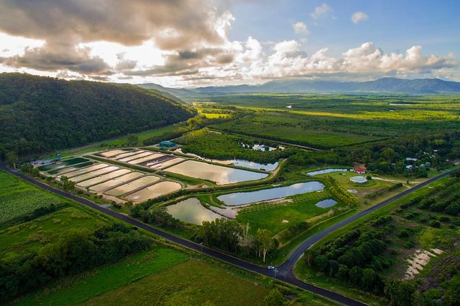 Hook A Barra Fishing Experience - Your 1-hour plan: tuition, viewing tanks, then catch-and-release fishing