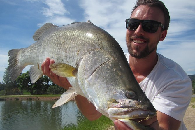 Hook A Barra Fishing Experience - Viewing tanks: learning barramundi behavior before you cast