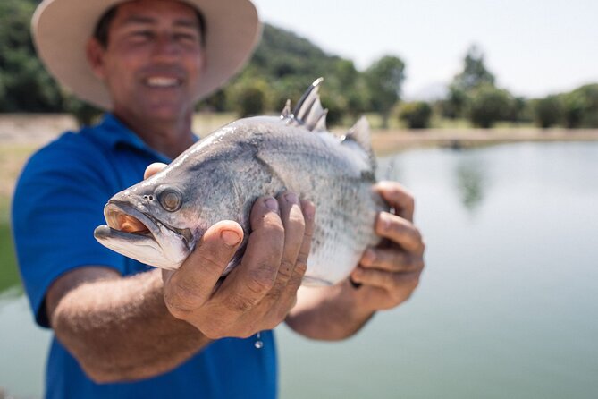 Hook-a-Barra Gourmet Farm Tour - Feeding time and tank viewing: what to watch for