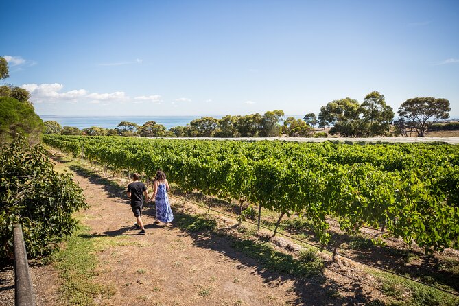 Hop On Hop Off Bellarine Bellarine Peninsula - Stop-by-stop guide to the Bellarine picks (what to expect)
