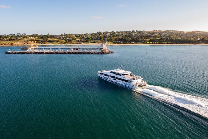 Hop On Hop Off Bellarine Bellarine Peninsula - Timing tips that help your day feel relaxed
