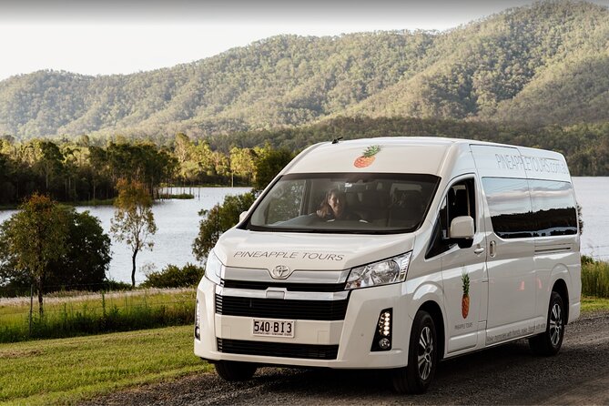 Hop on Hop Off Bus - Tamborine Mountain - How the Hop-On Hop-Off Day Trips Tamborine Mountain for Real