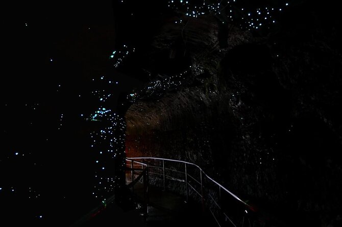 Hop on Hop off - Tamborine Rainforest Skywalk + Glow Worm Caves - Key things that make this tour work