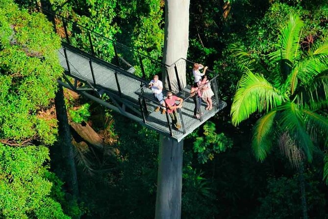 Hop on Hop off - Tamborine Rainforest Skywalk + Glow Worm Caves - Brisbane to Tamborine: the simple idea behind this day trip