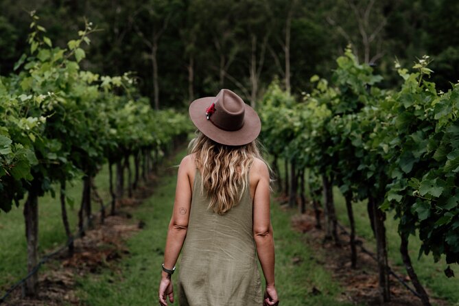 Hop on Hop off Wine tasting tour to Tamborine Mountain - Stop on the mountain: first cellar door, views, and Gallery Walk time