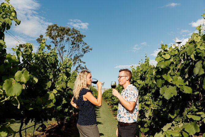Hop on Hop off Wine tasting tour to Tamborine Mountain - What you should wear and bring