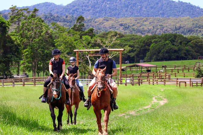 Horse and Quad bike tour with a visit to a Petting Zoo - Key Things I’d Use to Choose This Tour