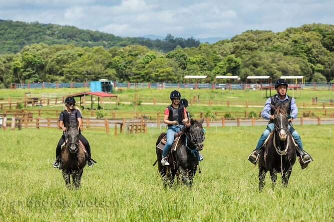 Horse and Quad bike tour with a visit to a Petting Zoo - Who This Tour Is Best For (And Who Should Rethink the ATV)