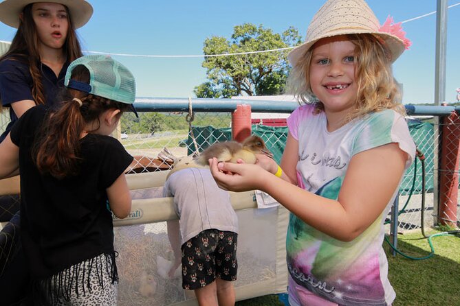 Horse and Quad bike tour with a visit to a Petting Zoo - Value for $128.39: Two Rides, Animals, and Real Equipment
