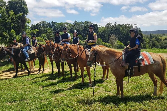 Horse and Quad bike tour with a visit to a Petting Zoo - Where You Start: Getting to Barnwell Farm and What to Expect Next