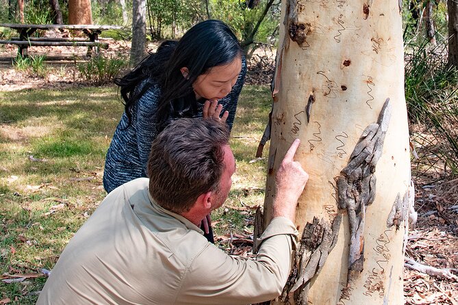 Horse Riding, Koalas & Kangaroos - Wild Australia: Private Tour - Walkabout Wildlife Sanctuary: koalas, kangaroos, and the animal highlights