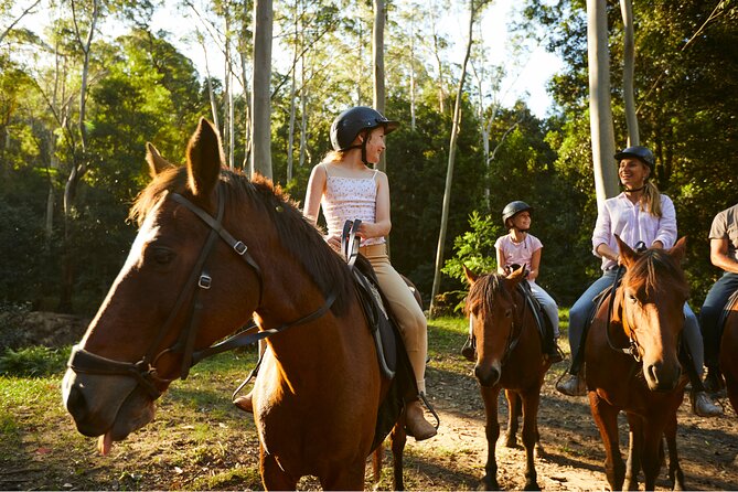 Horse Riding, Koalas & Kangaroos - Wild Australia: Private Tour - Warrah Lookout and the quick flying-fox moment