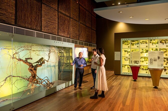 Hosted Wine Discovery Journey Tour - Key highlights you’ll notice right away