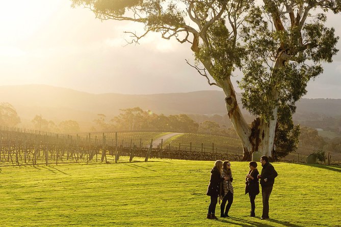 Hosted Wine Discovery Journey Tour - Price and value: is $17.93 per person worth it?