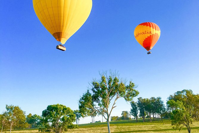 Hot Air Balloon Flight Brisbane with Vineyard Breakfast - Scenic Rim views: what you can actually notice from above