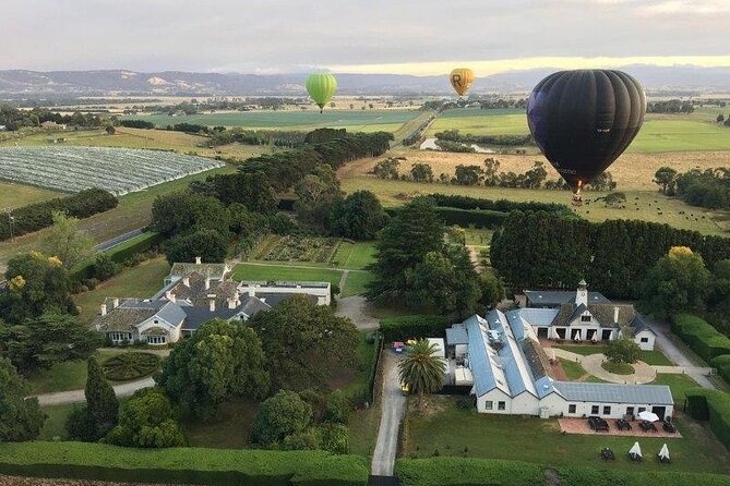 Hot Air Balloon Flight over the Yarra Valley - Key things to know before you book