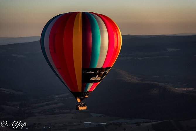 Hot Air Balloon Flight over the Yarra Valley - The views you came for: vineyards, ranges, and that slow-motion feeling