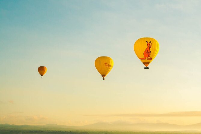 Hot Air Ballooning Tour from Northern Beaches near Cairns - Wildlife spotting tips that match how this tour is run