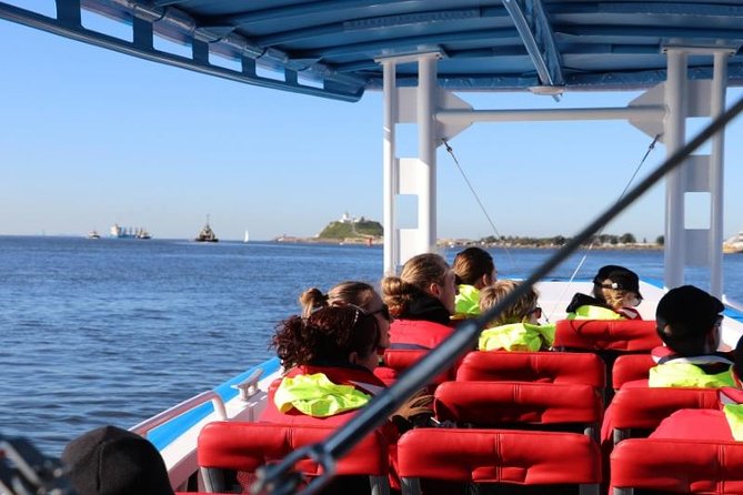 Humpback Whale Encounter Tour from Newcastle - Guide time makes or breaks whale spotting