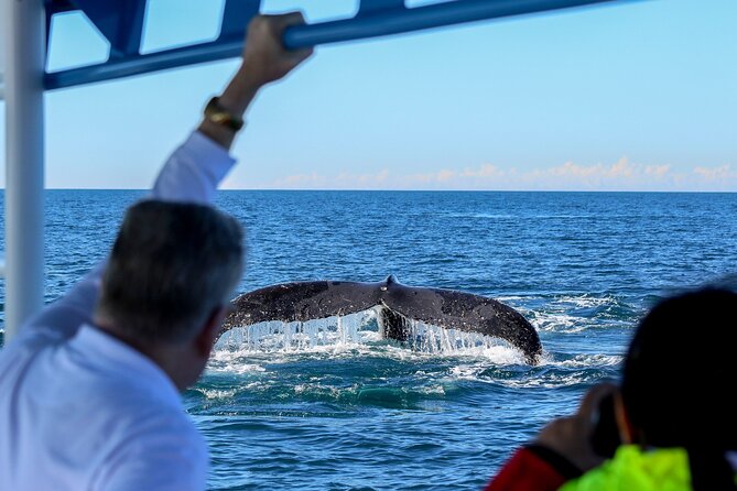 Humpback Whale Encounter Tour from Newcastle - Photos included: a smart value add