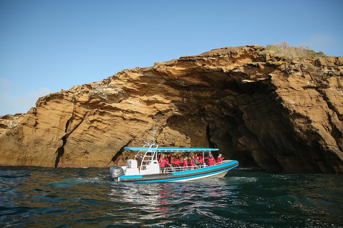 Hunter Coastal Adventure Tour by Boat from Newcastle - Key Things That Make This Hunter Coast Boat Tour Work