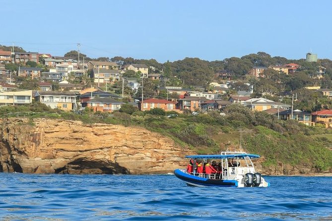 Hunter Coastal Adventure Tour by Boat from Newcastle - Newcastle To Catherine Hill Bay: The Big Picture