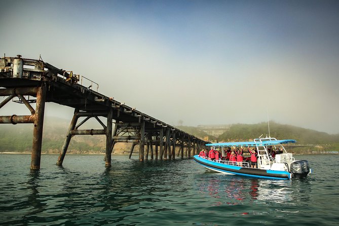 Hunter Coastal Adventure Tour by Boat from Newcastle - Sea Caves, Forts, and Cliffs: The Coast’s Main Character Moment