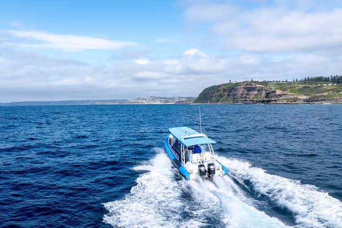 Hunter Coastal Adventure Tour by Boat from Newcastle - Guide Commentary: Why It Feels Like a Local Lesson, Not a Lecture